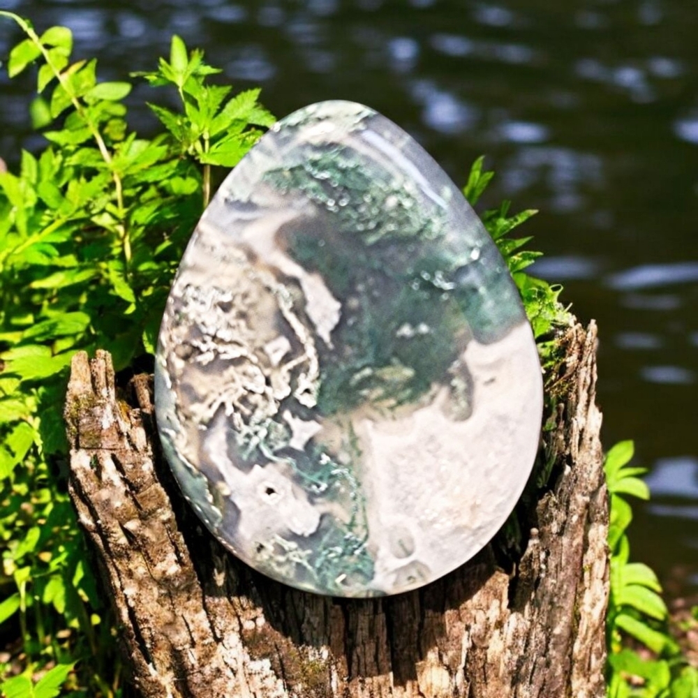✨️Moss Agate Worry Stone!